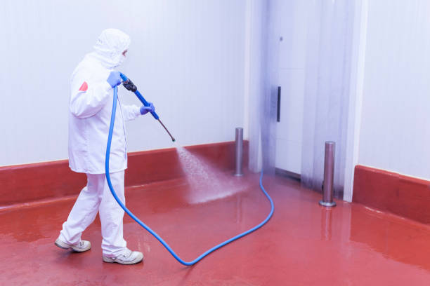 Best Spring Cleaning  in Rockwell, AR