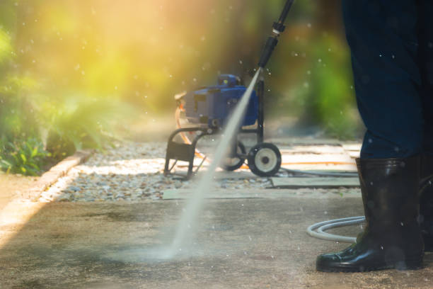 Animal Enclosure Cleaning in Rockwell, AR